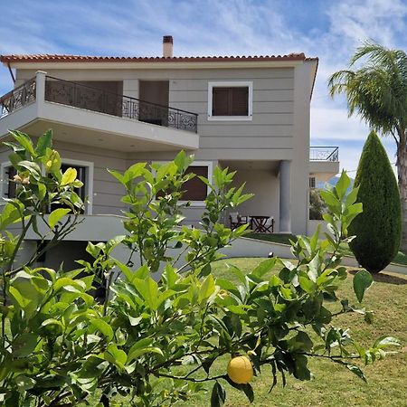 Dimitris Villa Egio Exterior foto