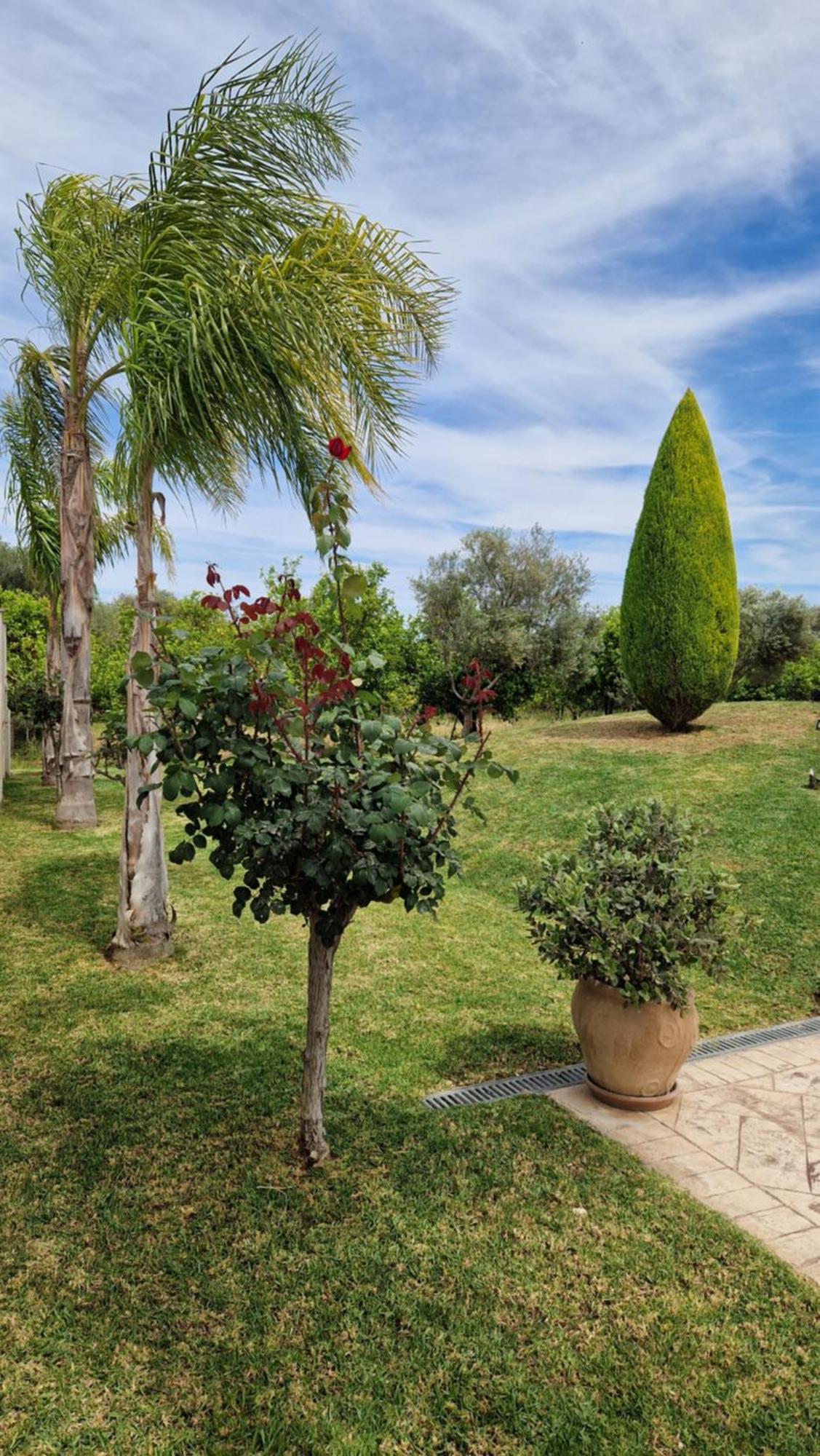 Dimitris Villa Egio Exterior foto